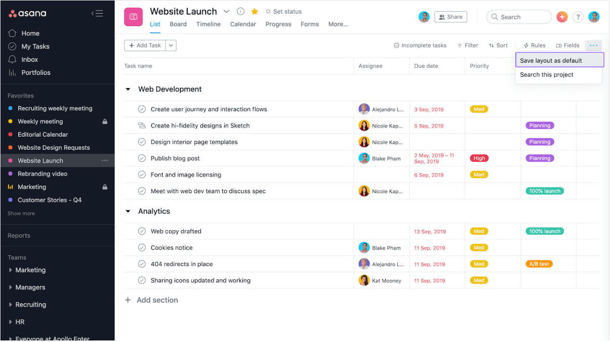 Asana screenshot - 10 bedste Coda-alternativer til projektteams i 2026