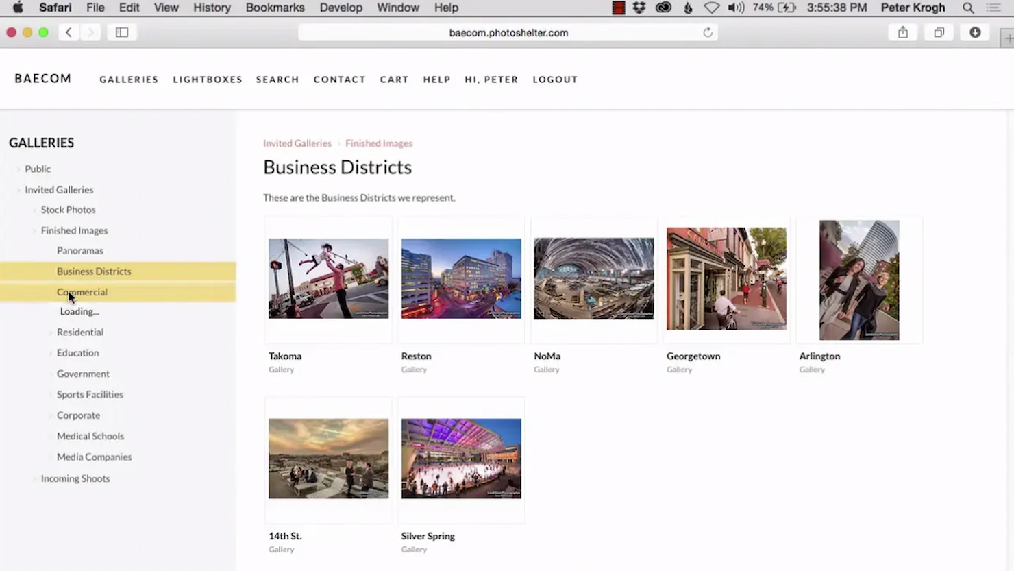 Libris by PhotoShelter  screenshot - 10 bedste softwareløsninger til håndtering af digitale aktiver i arkiver i 2026