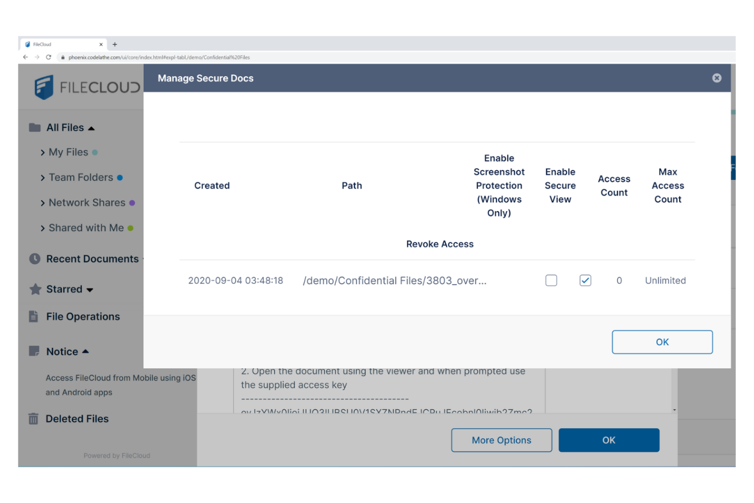 FileCloud screenshot - 10 najlepszych alternatyw dla OneDrive do przechowywania plików w 2026 roku