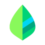 Mint Software Logo