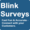 Blink Surveys Logo