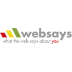 Websays Software Logo