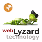 webLyzard Software Logo