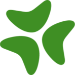 Bloomerang Software Logo