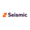 Seismic Learning Logo