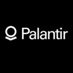 Palantir Gotham Software Logo