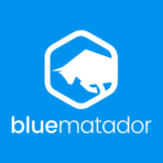 Blue Matador screenshot