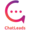 ChatLeads Logo