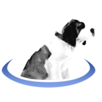 BerniePortal Software Logo