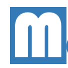Metrimap Software Logo