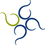 GroupDrive Software Logo