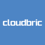 Cloudbric Software Logo