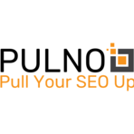 Pulno Software Logo