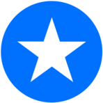 Taggstar Software Logo