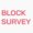 Block Survey Logo