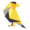 GoldFynch Logo