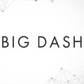 Big Dash Software Logo