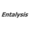 Entalysis Extensions Logo