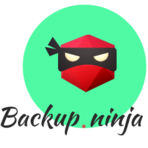 Backup Ninja Software Logo