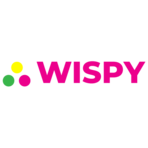 TheWiSpy Logo