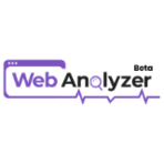 Web Analyzer