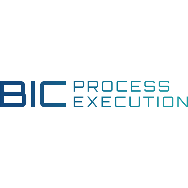 BIC Process Execution