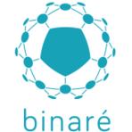 Binare Software Logo