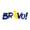 BRAVO Logo