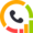 Callyzer Logo